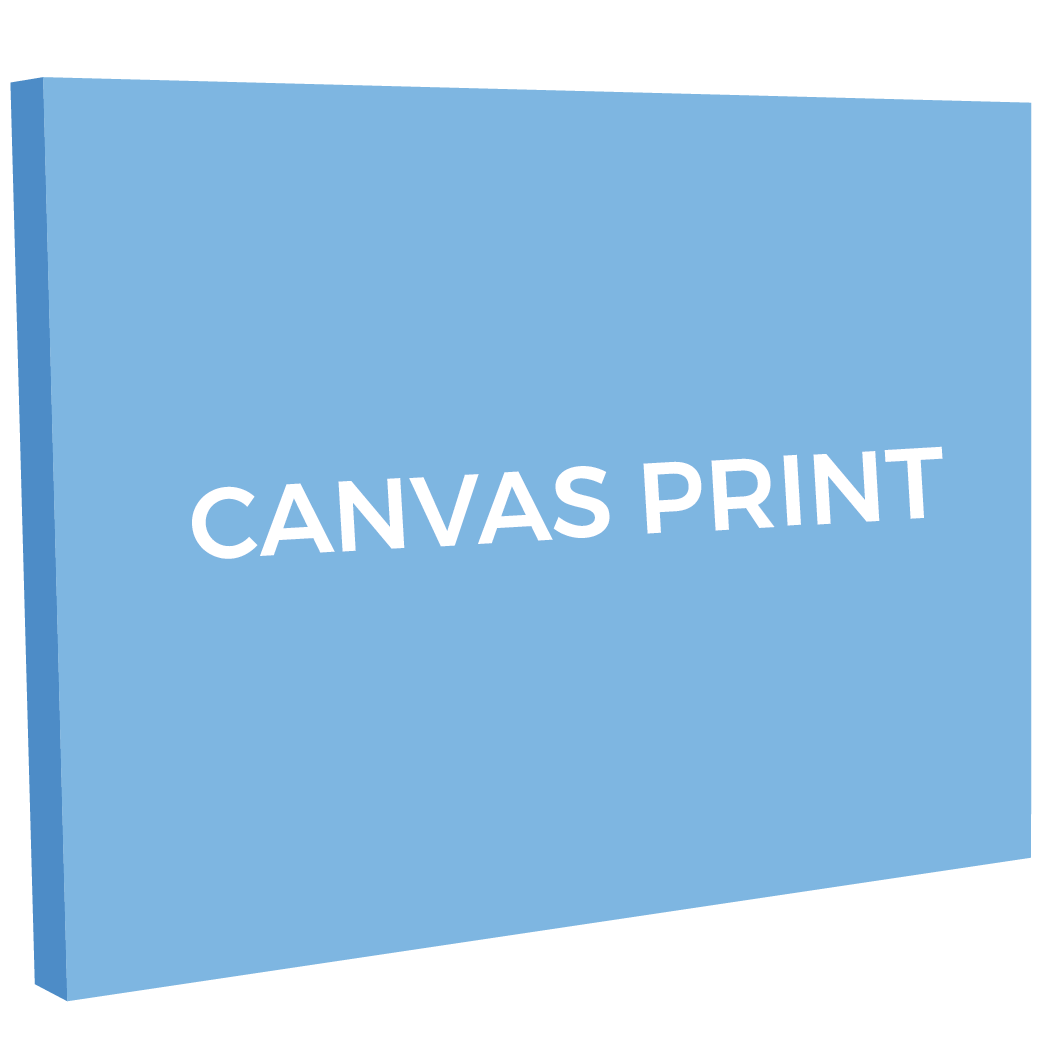 canvas print vector